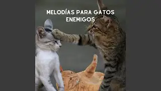 Gato Protector