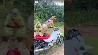 dog to cycling | impossible for to cycling #cycle #cycling #dog #funny #shorts #youtubeshorts