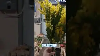 Київ склад квіти, декор, більше 5000 товарів для флористів, в більшості квіти