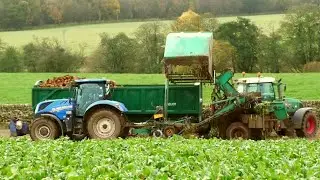 Beet Lifting (Different Farm) with New Holland and Two Fendts.