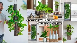 5 Decorate With Indoor Plants to Add Life And Visual Interest to Your  Any Room//GREEN PLANTS