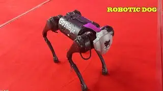 ROBOTIC DOG FOR YOR HOUSE SAFETY