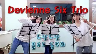 Devienne Six Trio for Three Flute, No.4 - 도란도란 플루트 동호회 연주 - 왕성자 김혜진 김성복 - 드비엔느 식스 트리오 플룻