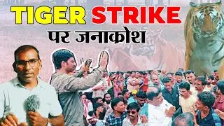 Tiger Strike on Human's : अम्बेझरी की घटना पर दिखा जनाक्रोश | DFO के जाने से बिगड़ा माहौल | BGTMEDIA