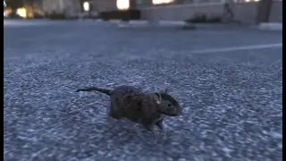 [GTA ETC] GTA Pest Control