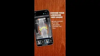 BerlinCaseViewer: A multilingual app