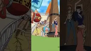 A regular day in the straw hat crew