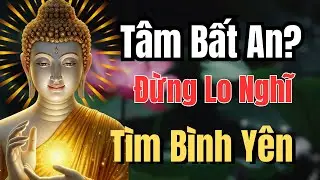 Pháp Thoại Ru Ngủ: Tìm Về Sự Tĩnh Lặng Qua Những Câu Chuyện Sống Đời Giản Dị & Hạnh Phúc