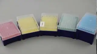 Pipette Tip Box With Filter Tips 10-1250ul