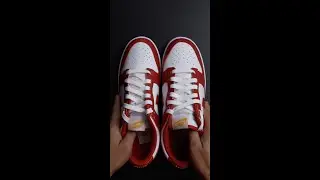 NIKE DUNK RETRO LOW GYM RED 2022