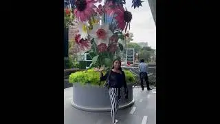 Paragon Mall, Singapore #paragonmall #visitsingapore #singapore #mall #singapore2025 #holiday