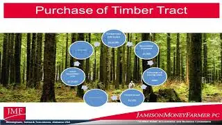 Forest Taxation - The Basics