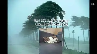 Like if u made it too the end:)
