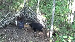 Bear Trak Outfitters