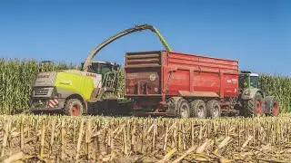 Siláže 2021 🌽  - Claas Jaguar 960 + Kemper 475plus, 3x Fendt + Krampe tridem, 2x Tatra Phoenix, 815