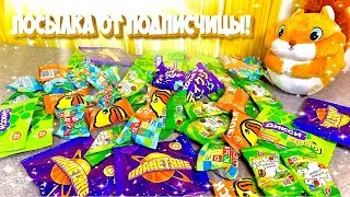 Архив промо-коллекций Пятёрочки и Дикси! 🥰 Новогодний Подарок от подписчика!  🎉🍬