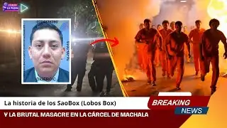 La historia de los SaoBox (Lobos Box) Y la brutal masacre en la c&aacute;rcel de Machala