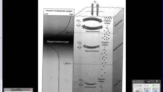 Oxygen Minimum layer