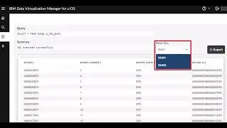 IBM&reg; Data Virtualization Manager for z/OS&reg;