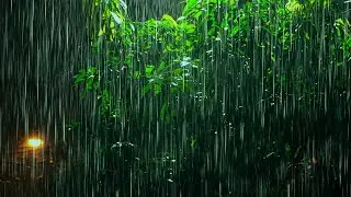 Goodbye Tension, Sleep Faster with Calming Rain | Rain Sounds for Deep Sleep | #asmrwhitenoise