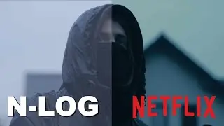 N LOG vs RED LUT vs MY GRADE I Before & After I Nikon Z6III