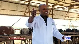 OKULUNDA ENTE ZA MAATA BUGAGA