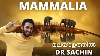 class mammalia | malayalam | animal kingdom | class 11 | NCERT | knowledge vlogger | plus one |NEET