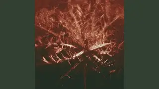 Digital God