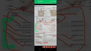 Reproductive Organ | Embryology| Female Reproductive organ Development 