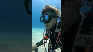 Cleaner Fish is Amazing