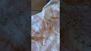Five Arrows Fabrics --Nuances Broderie Anglaise in Pastel tones &mdash; Danick
