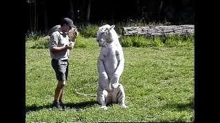 Dreamworld Gold Coast 2002