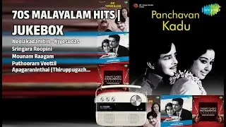 സുവർണ്ണ ഗാനങ്ങൾ | K.J. Yesudas Songs | Neelakadambin  Kjyesudas | Sringara Roopini
