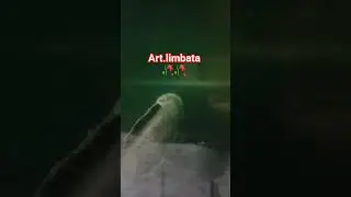 suka duka limbata wc #limbata