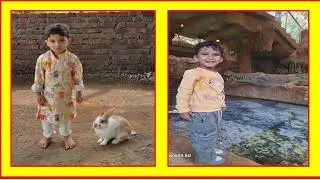 Nursery   Class event Animal day 2025 1