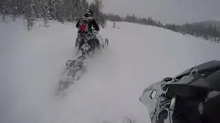 Radium 2023 Powder Meadows