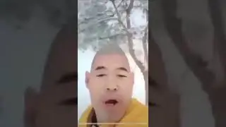 Egg head