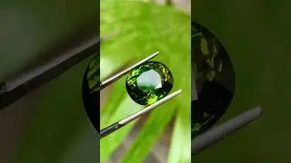 Tourmaline || #short #shortvideo #gemstone #tourmaline #shorts