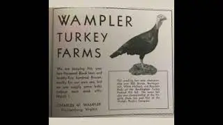 Drew & Mike call Wampler Turkey Farm, a Thanksgiving Classic!
