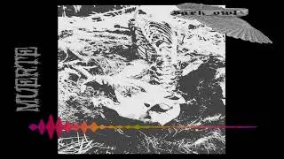 Dark Owl - Murte (2019) #DarkOwl #Experimental #Drone #Noise (Full Album)