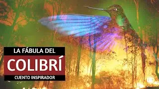 🐤🐤&middot; F&aacute;bula del Colibr&iacute;  - Cuento inspirador para reflexionar - Leyenda popular - Superaci&oacute;n personal