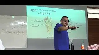 Anatom&iacute;a II Teor&iacute;a-Sistema Respiratorio (sesi&oacute;n 02)
