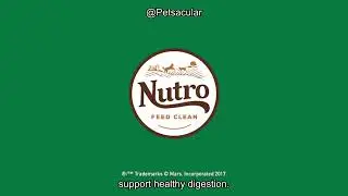 Nutro Natural Choice Small Breed Dog Food Review: Worth the Price for Health & Digestion?