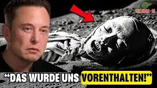 Elon Musk Schockt: 