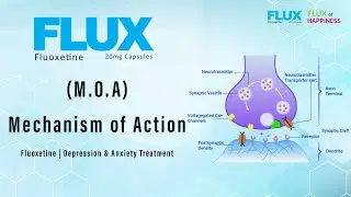 Flux (Fluoxetine 20 mg) &ndash; MOA Animation for Depression & Anxiety Treatment | Hilton Pharma