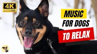 Winter Calm: Relaxing Winter Music for Mother Dogs ❄️ Witty Woofers