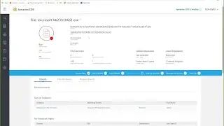 Threat Hunting with Symantec Endpoint Security Complete