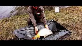Nyomás alatt - Gyors pontyhorgászat technikák - Rapid Carp Fishing 2.