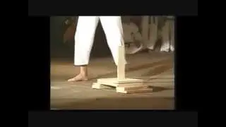 Great Master Son Jong Ho Vertical Breaking