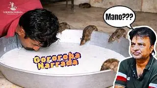 Narrando As Comidas De Rua Mais Insalubres (TENTE N&Atilde;O RIR) EP#72